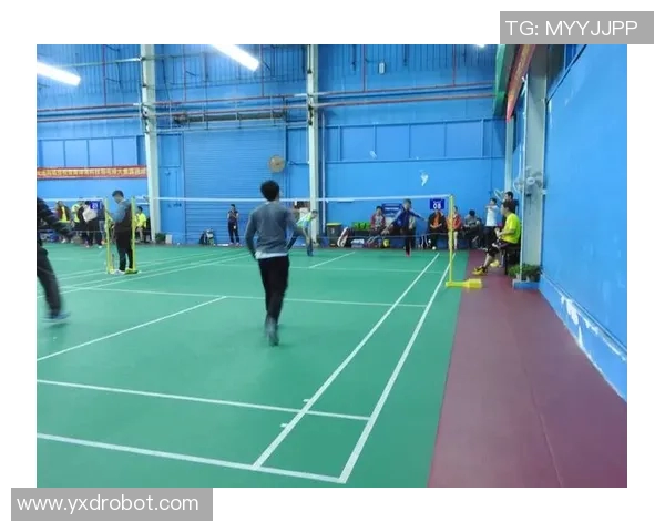 深圳羽毛球队战术创新引领羽毛球新潮流排名攀升至新高