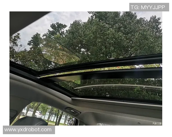 武汉滑板队实力解析：各队员技术特点与团队协作的深度对比分析